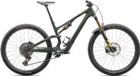 Specialized Stumpjumper 15 Pro Carbon Mountain Bike  2025