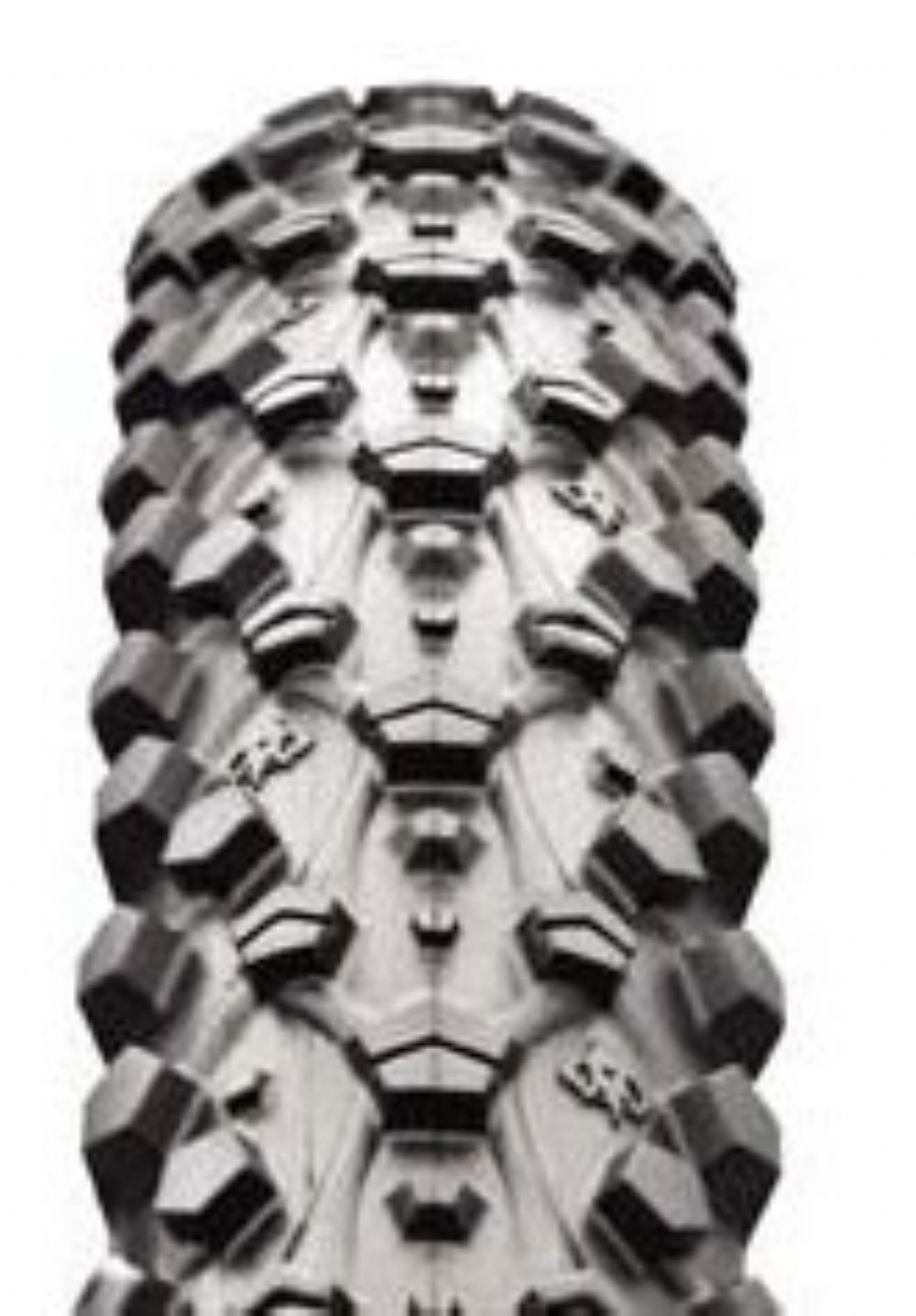 Maxxis store ignitor exo