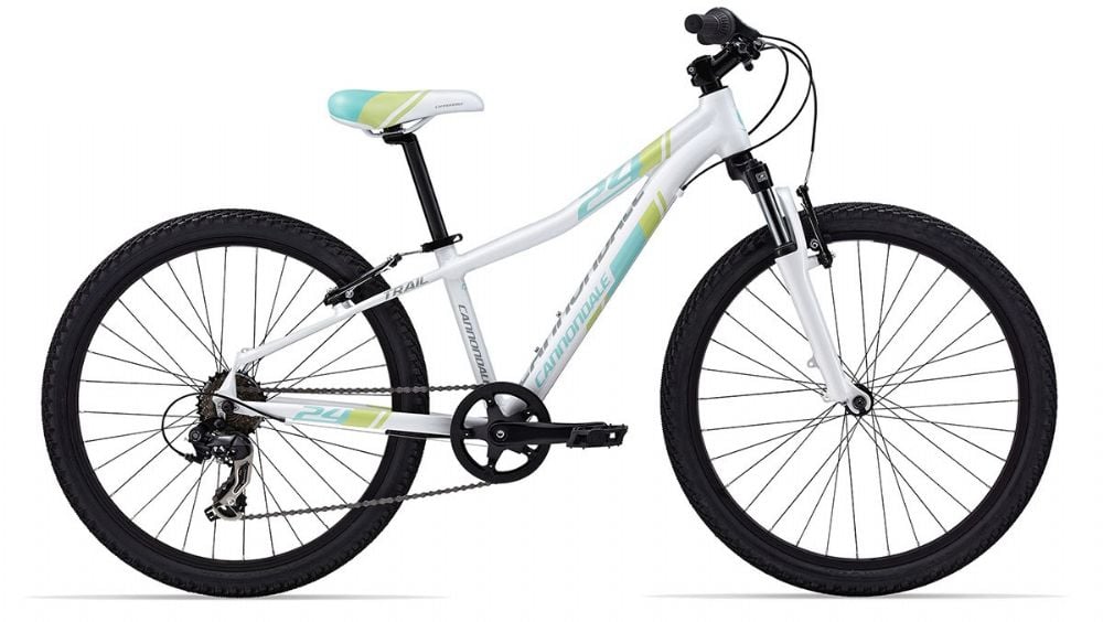 cannondale 24 inch trail bike